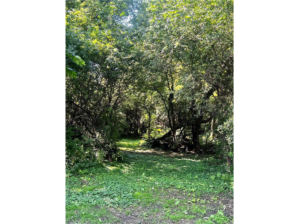 2328 550th Street Granite Falls MN 56241 7102996 image38