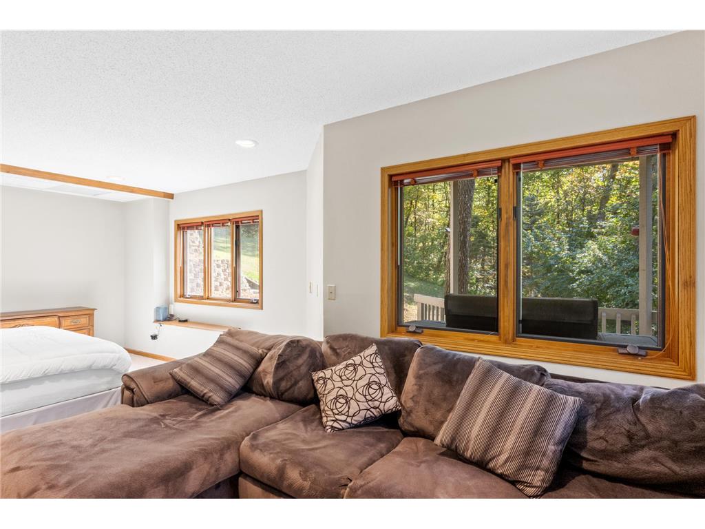 233 Basswood Trail Glenwood Twp MN 56334 - Minnewaska 7067805 image37