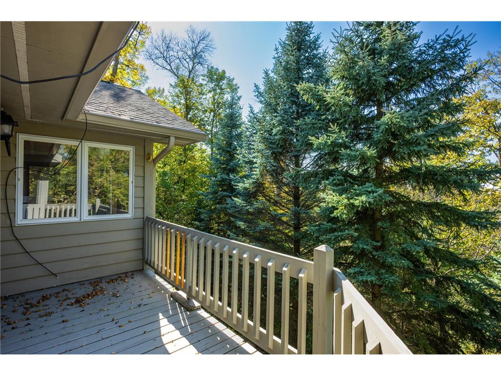 233 Basswood Trail Glenwood Twp MN 56334 - Minnewaska 7067805 image51