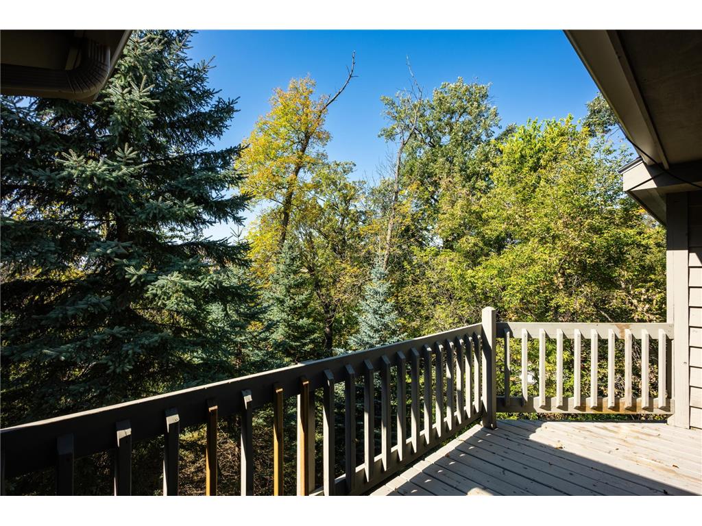 233 Basswood Trail Glenwood Twp MN 56334 - Minnewaska 7067805 image52