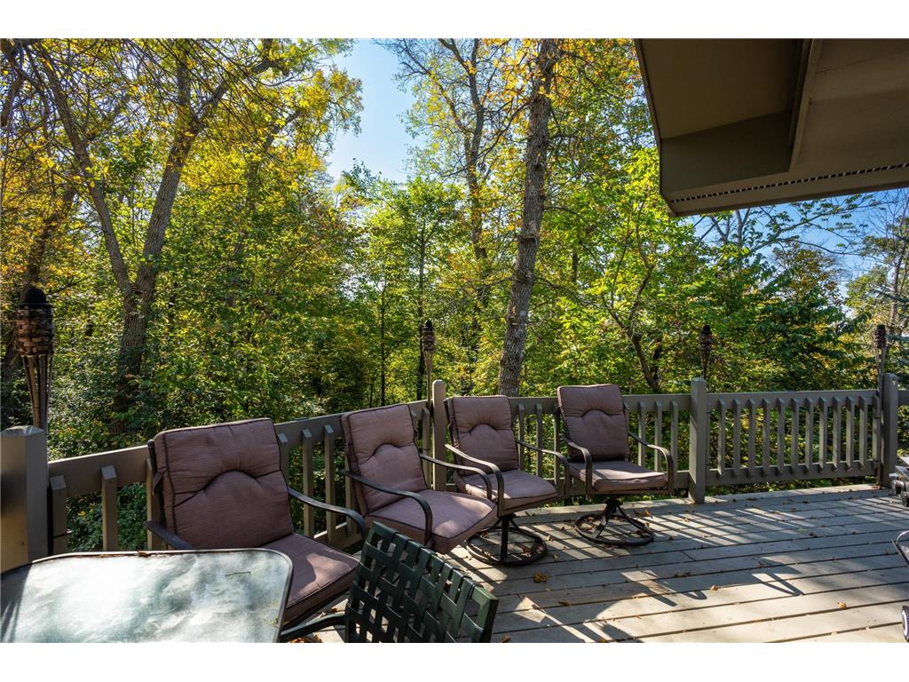 233 Basswood Trail Glenwood Twp MN 56334 - Minnewaska 7067805 image53