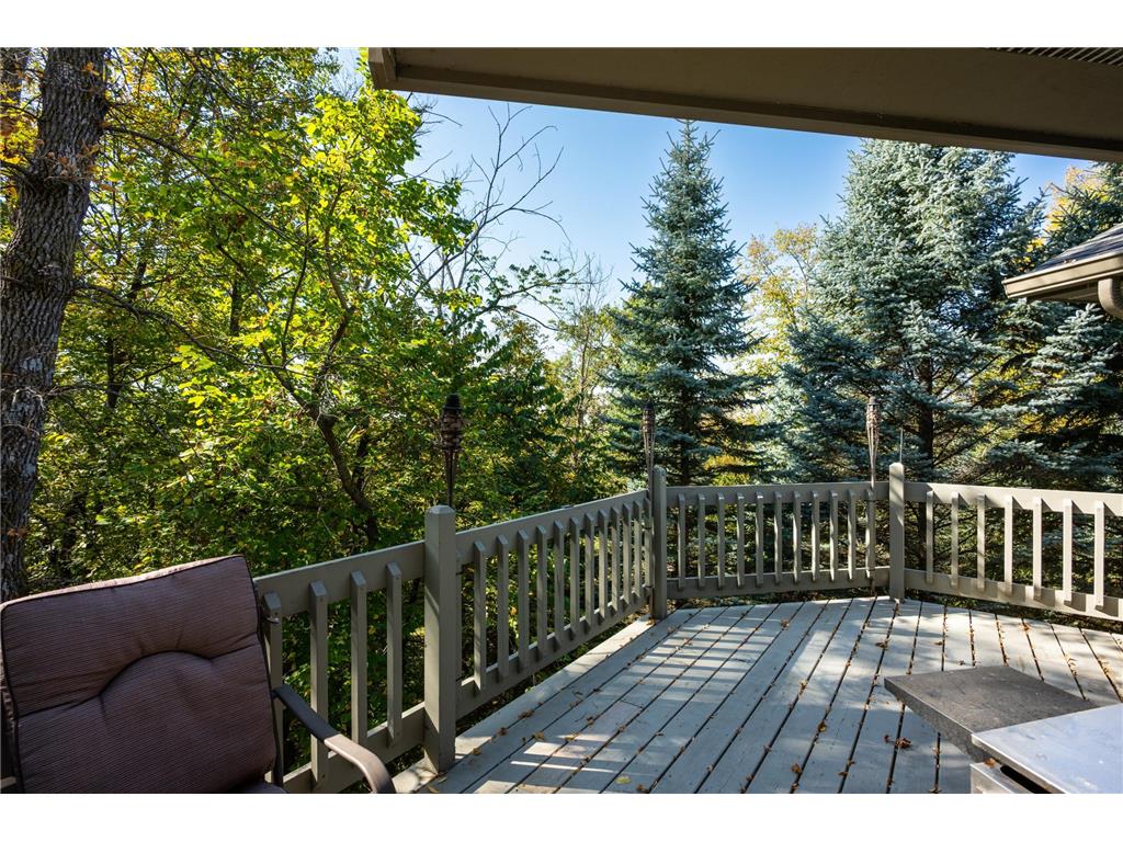 233 Basswood Trail Glenwood Twp MN 56334 - Minnewaska 7067805 image54