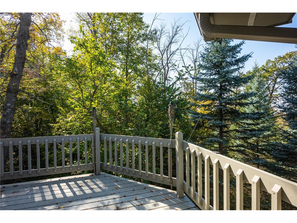 233 Basswood Trail Glenwood Twp MN 56334 - Minnewaska 7067805 image56
