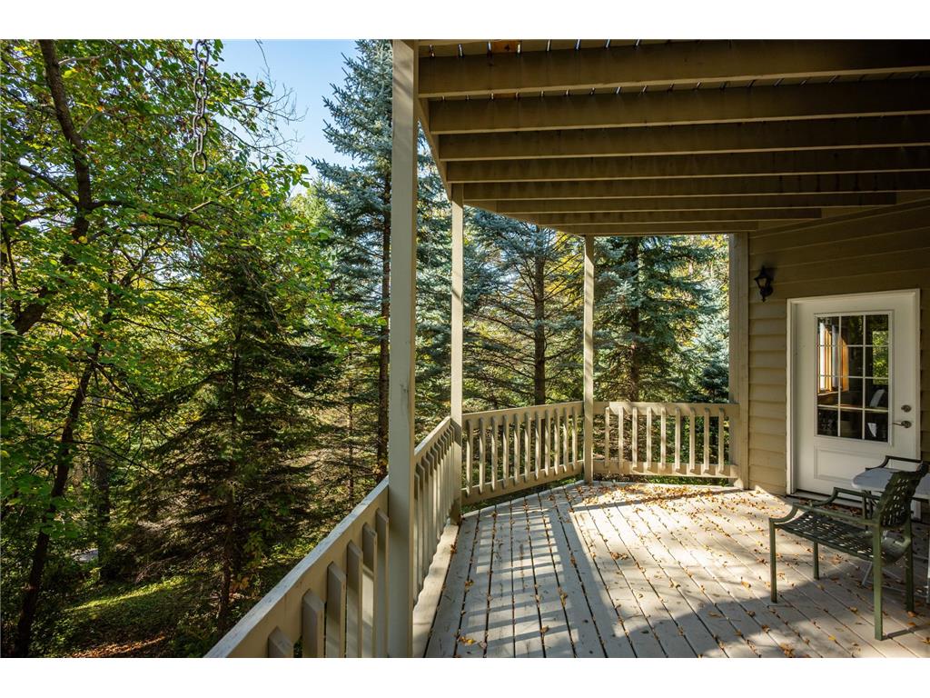 233 Basswood Trail Glenwood Twp MN 56334 - Minnewaska 7067805 image59
