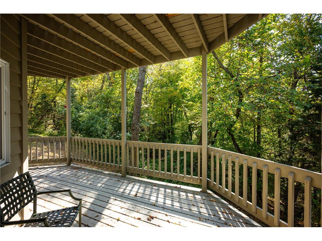 233 Basswood Trail Glenwood Twp MN 56334 - Minnewaska 7067805 image60