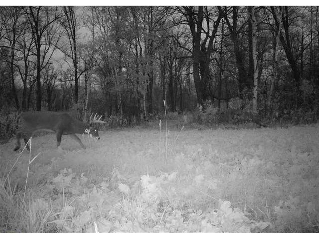 2330 290th Street Forest Twp WI 54005 6549120 image1