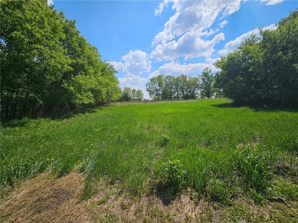 23304 State Hwy 29 Henning MN 56551 6793956 image51