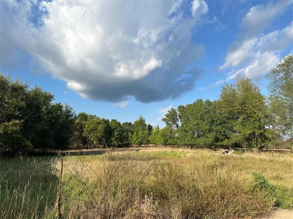 23304 State Hwy 29 Henning MN 56551 6793956 image60