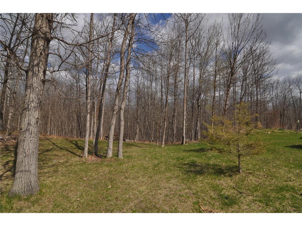 2332 Webb Forest Court NW Hackensack MN 56452 7070337 image38