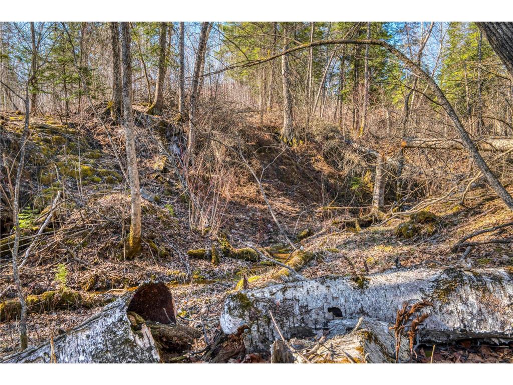 23328 Boreal Road NW Pinewood MN 56676 - Sandy Lake 7060569 image59