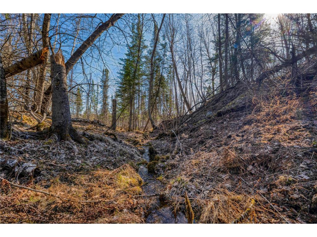 23328 Boreal Road NW Pinewood MN 56676 - Sandy Lake 7060569 image61