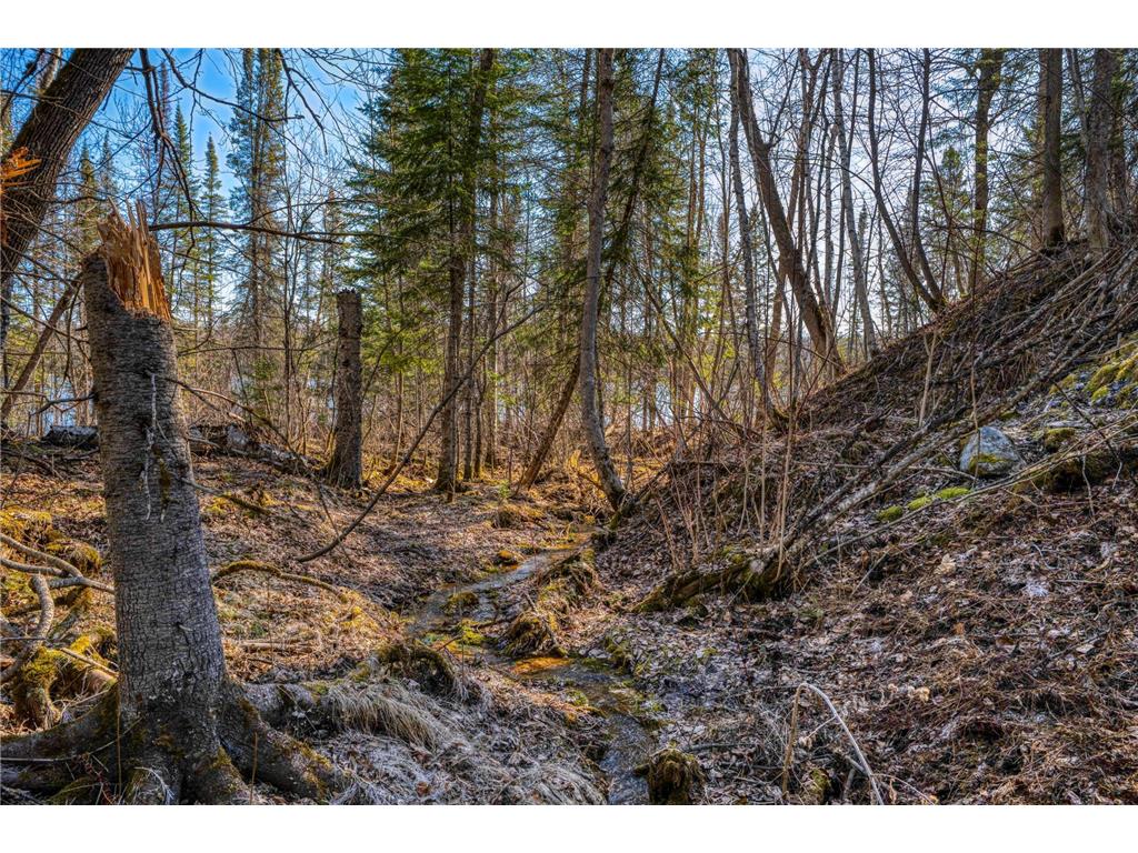 23328 Boreal Road NW Pinewood MN 56676 - Sandy Lake 7060569 image62