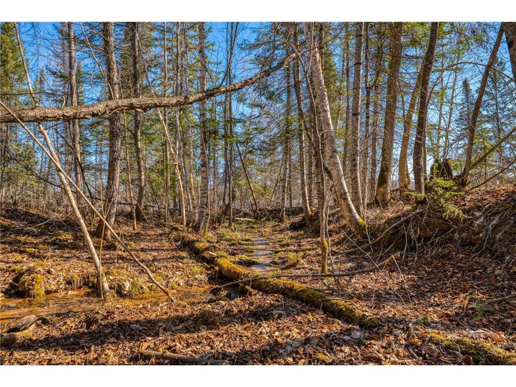 23328 Boreal Road NW Pinewood MN 56676 - Sandy Lake 7060569 image63