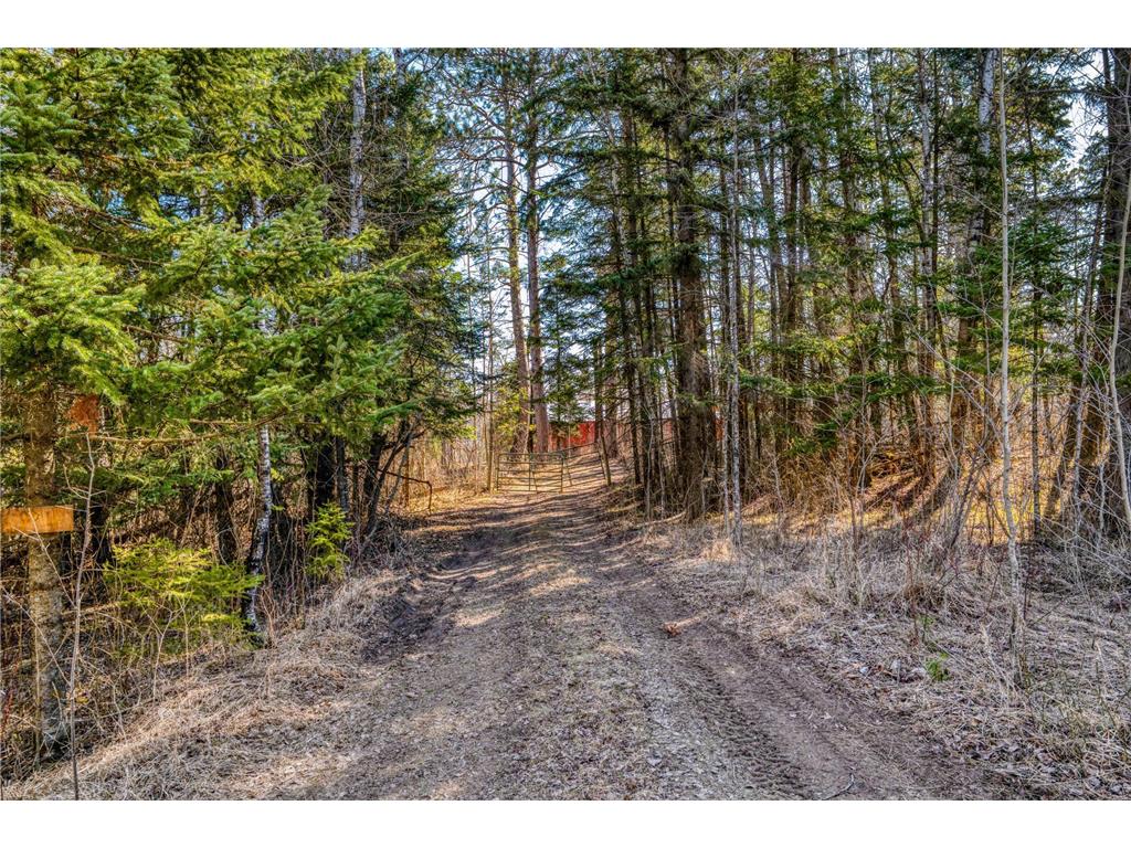 23328 Boreal Road NW Pinewood MN 56676 - Sandy Lake 7060569 image73