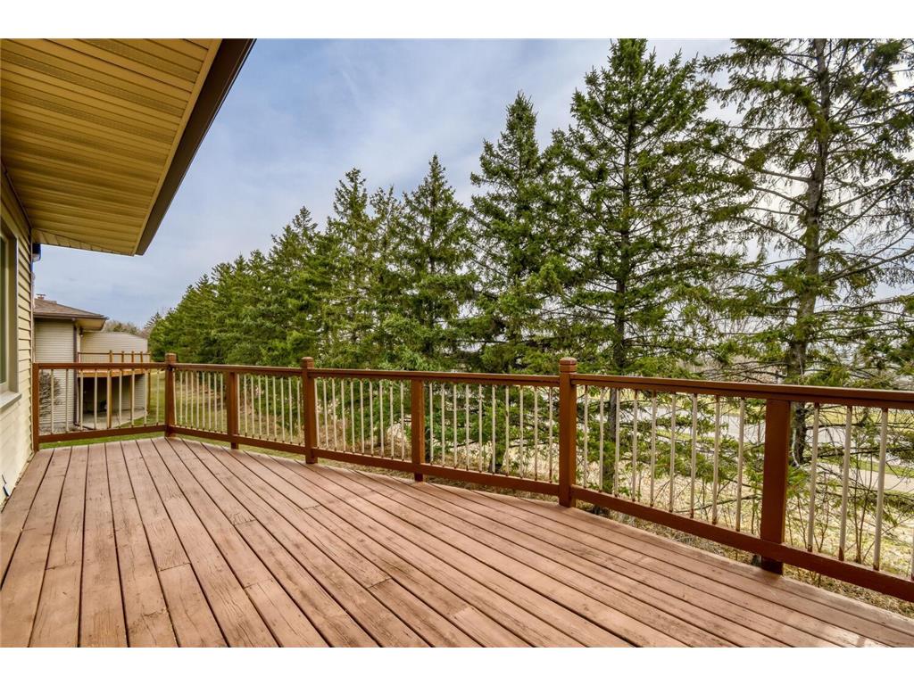 2333 Amberwood Drive Woodbury MN 55125 7043085 image21