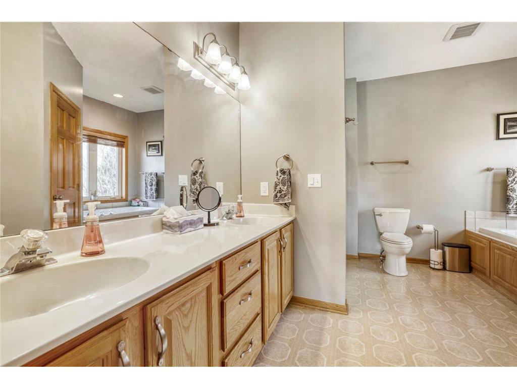2334 Manuela Drive Chaska MN 55318 7070005 image14