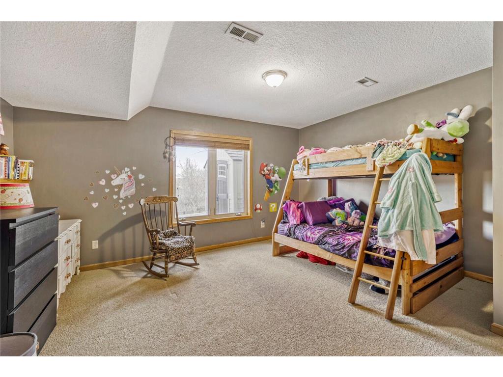 2334 Manuela Drive Chaska MN 55318 7070005 image22