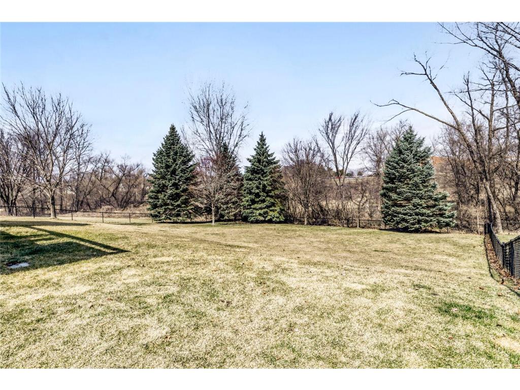 2334 Manuela Drive Chaska MN 55318 7070005 image28