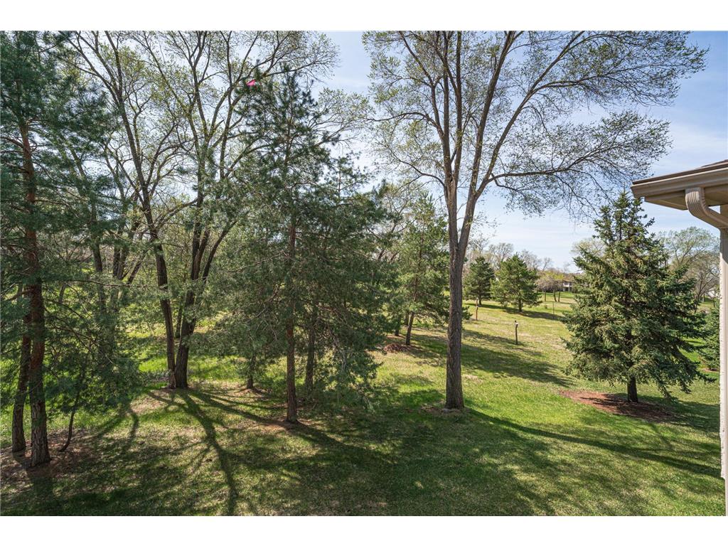 2334 Pinewood Drive Shakopee MN 55379 7043843 image25