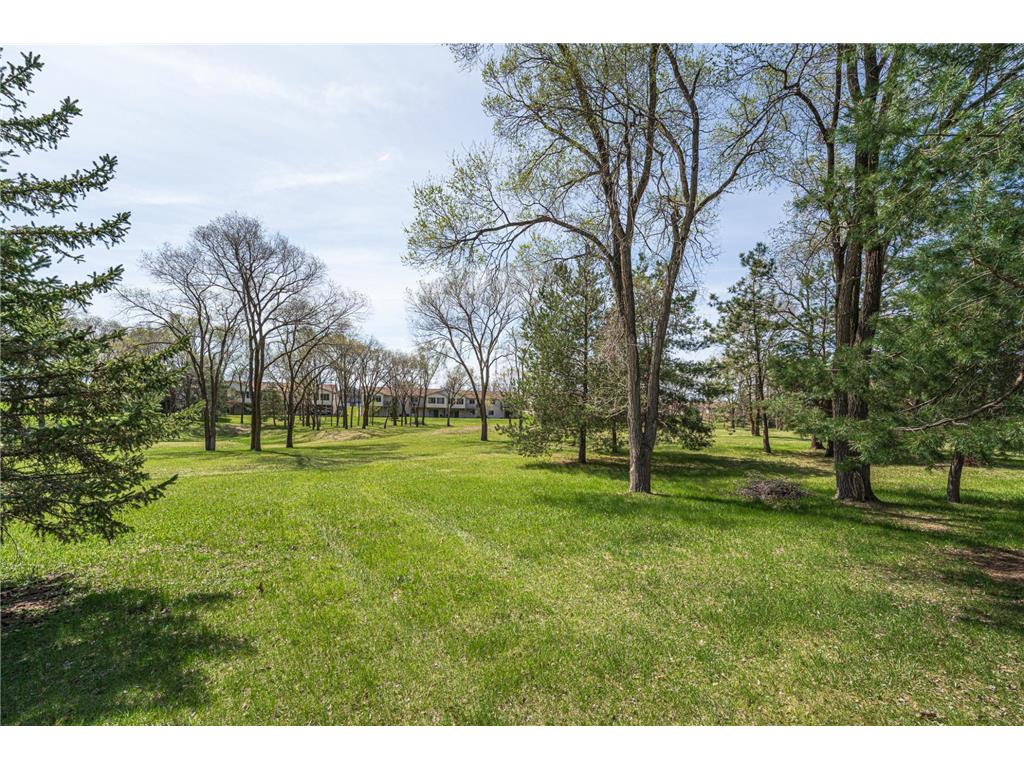 2334 Pinewood Drive Shakopee MN 55379 7043843 image39
