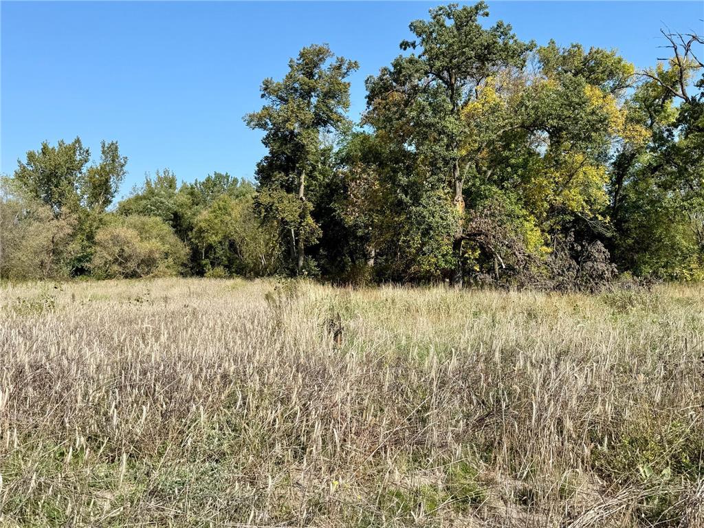 23368 Saddle Ridge Drive Rogers MN 55374 7026093 image2