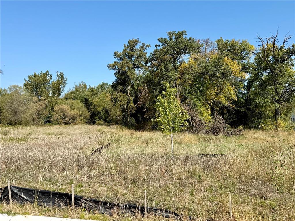 23368 Saddle Ridge Drive Rogers MN 55374 7026093 image3