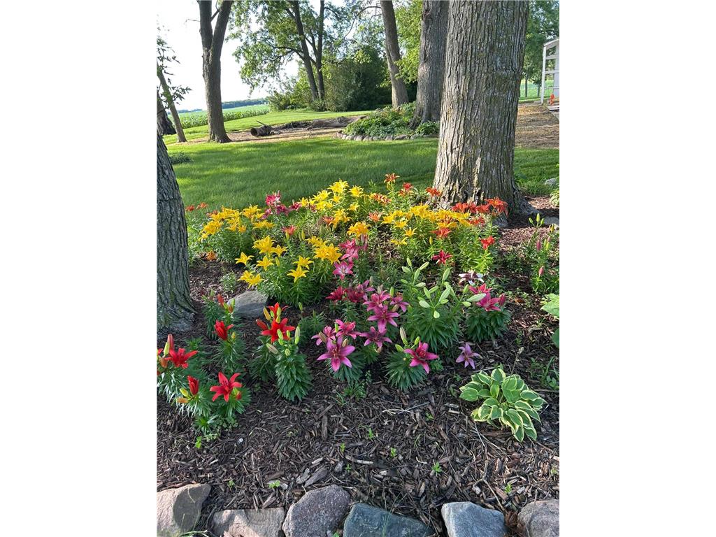 23371 650th Avenue Alden MN 56009 7019939 image39