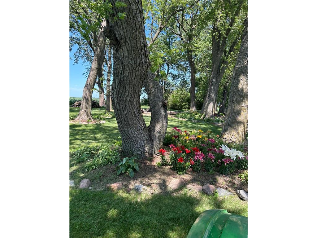 23371 650th Avenue Alden MN 56009 7019939 image41