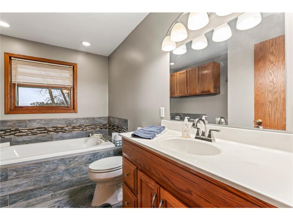 23371 650th Avenue Alden MN 56009 7019939 image18