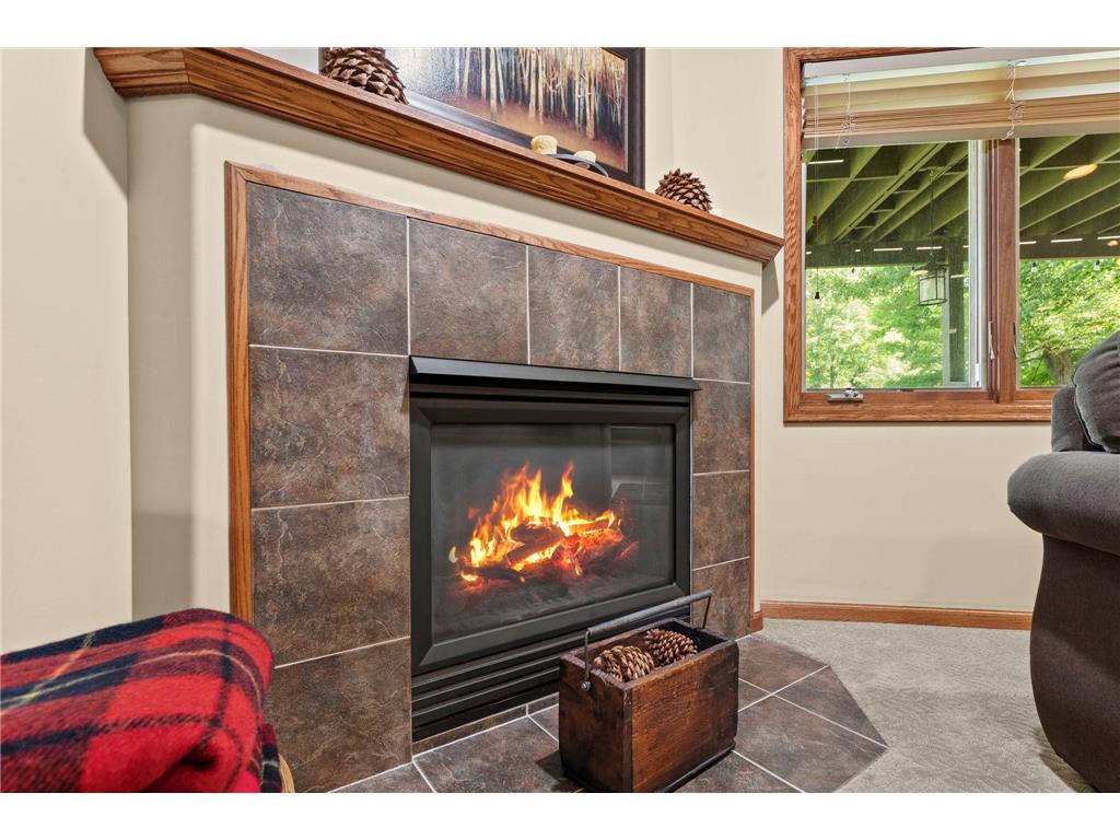 2343 132nd Lane NE Blaine MN 55449 7115851 image42