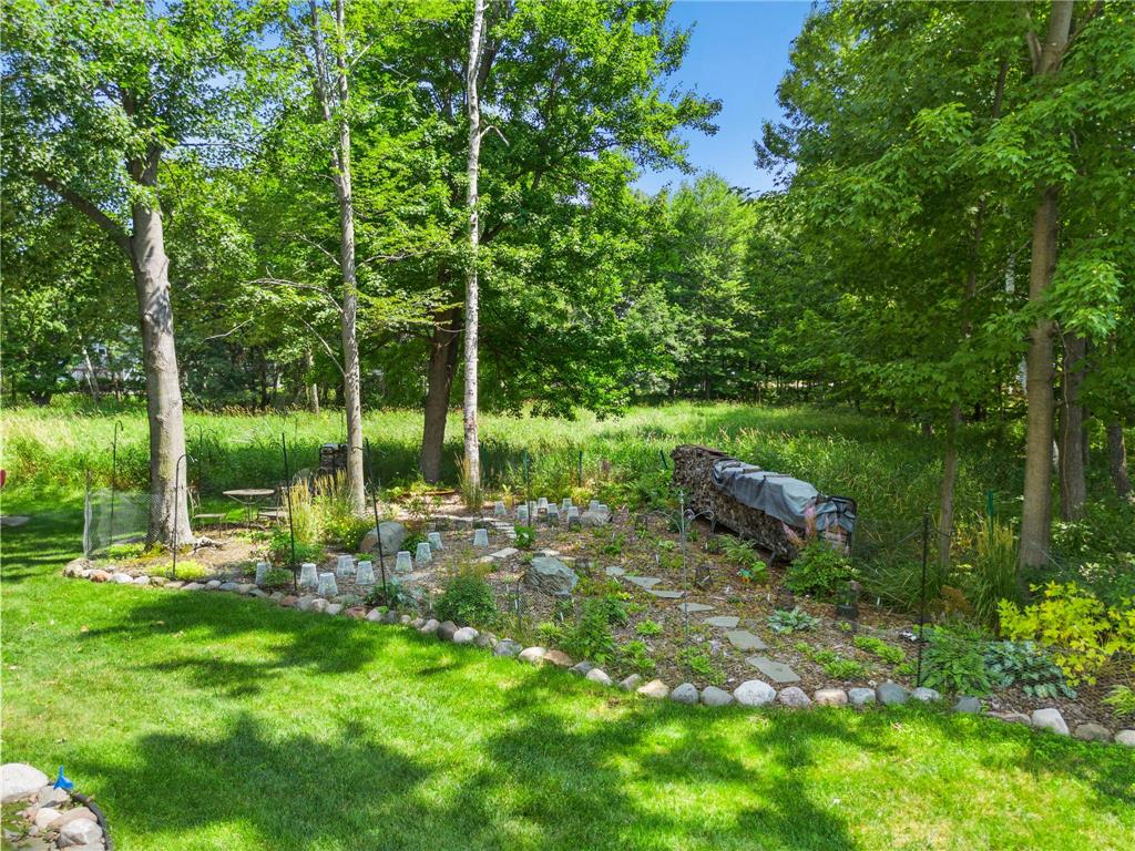 2343 132nd Lane NE Blaine MN 55449 7115851 image48