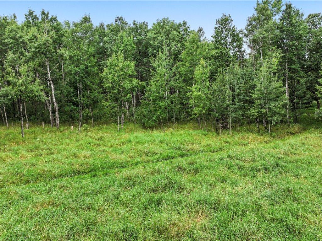 23442 Rebel Road Merrifield MN 56465 6765118 image21