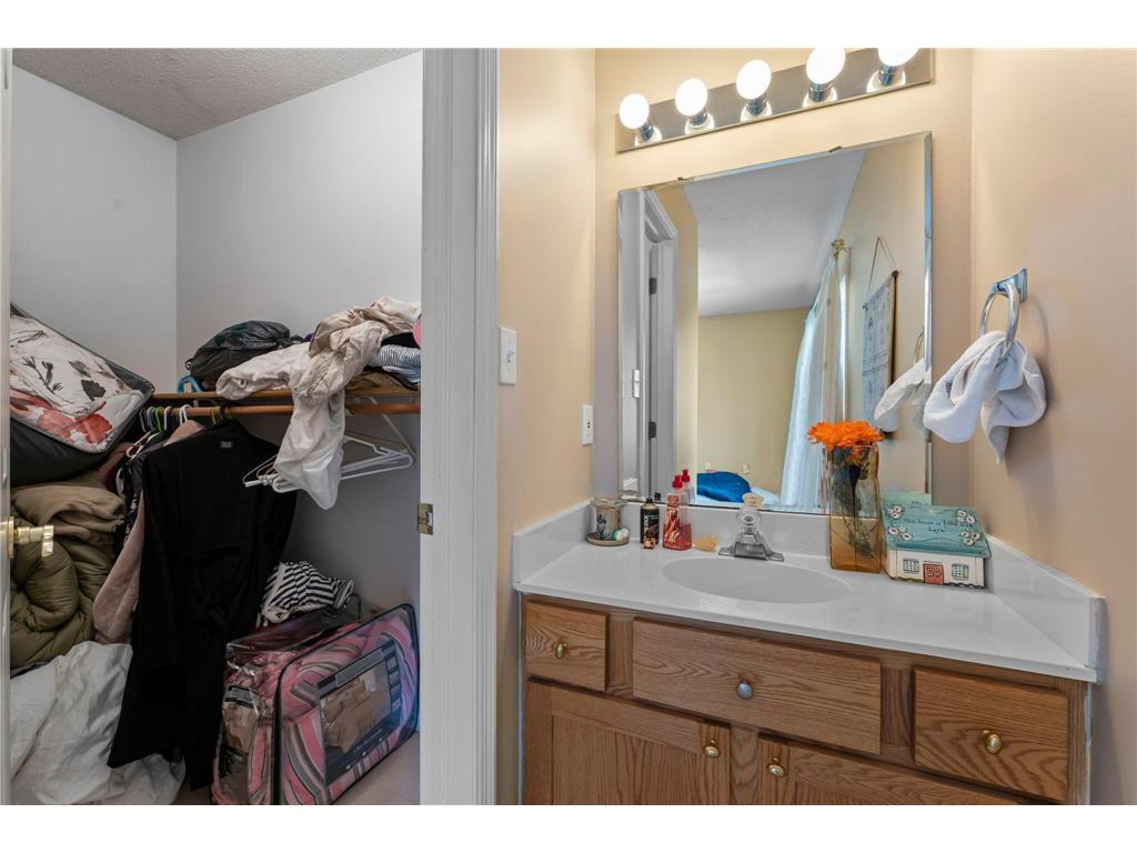 2345 S Oak Drive Hay Creek Twp MN 55066 6769562 image64