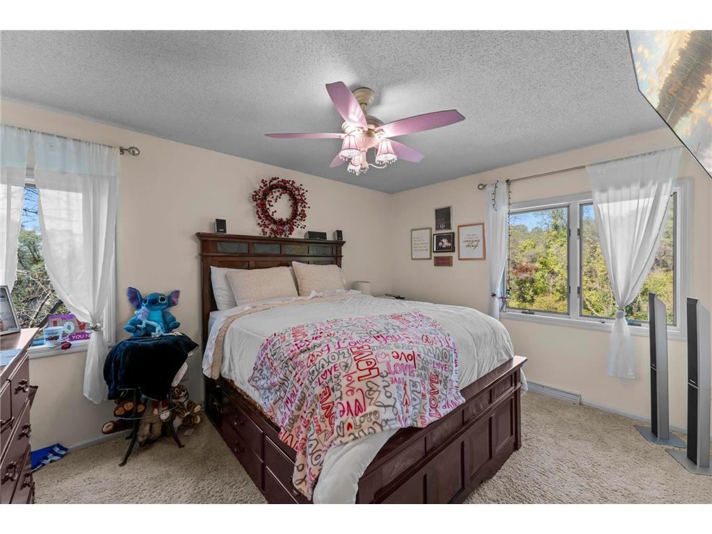 2345 S Oak Drive Hay Creek Twp MN 55066 6769562 image65