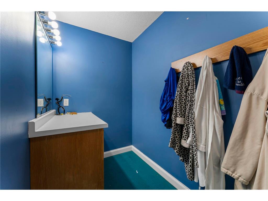 2345 S Oak Drive Hay Creek Twp MN 55066 6769562 image90