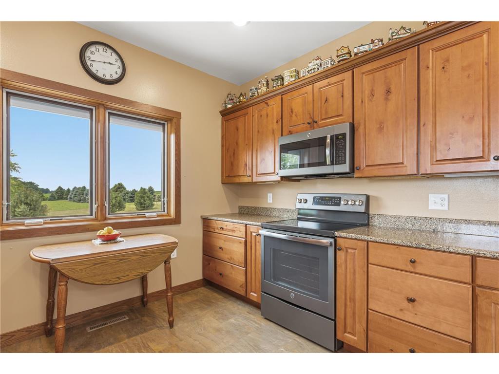23455 135th Street Hanska MN 56041 - Hanska 7101672 image16