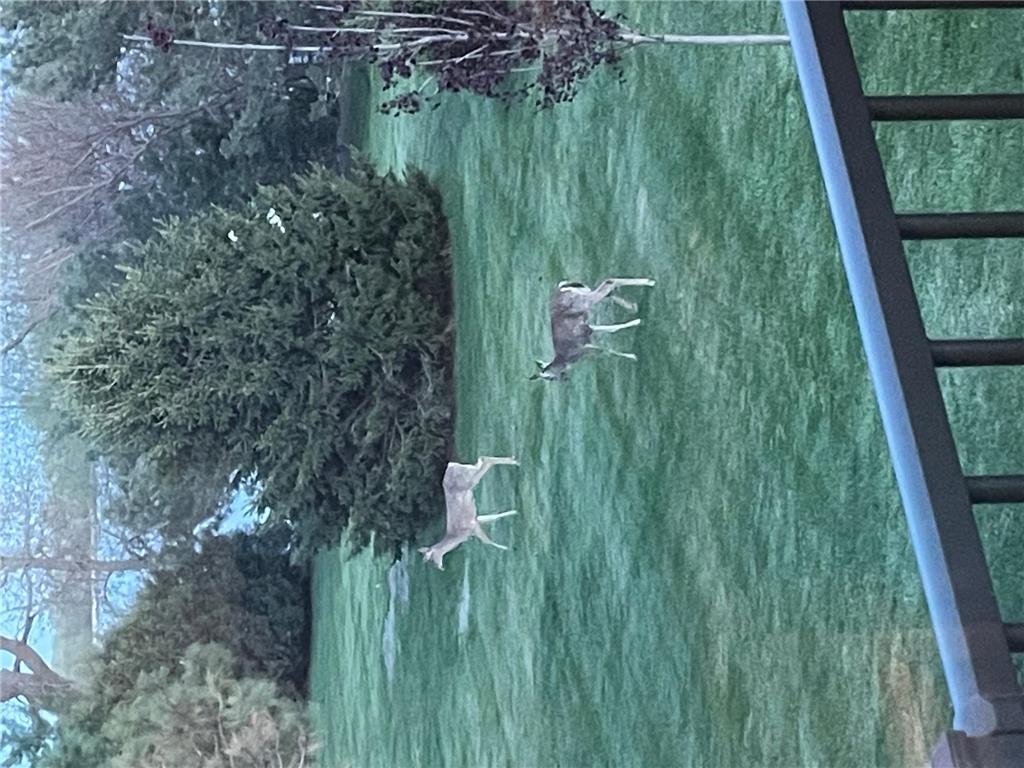 23455 135th Street Hanska MN 56041 - Hanska 7101672 image68