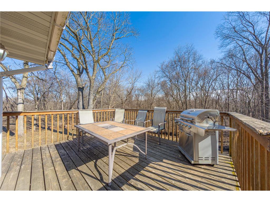 23493 Echo Avenue Faribault MN 55021 7092737 image13