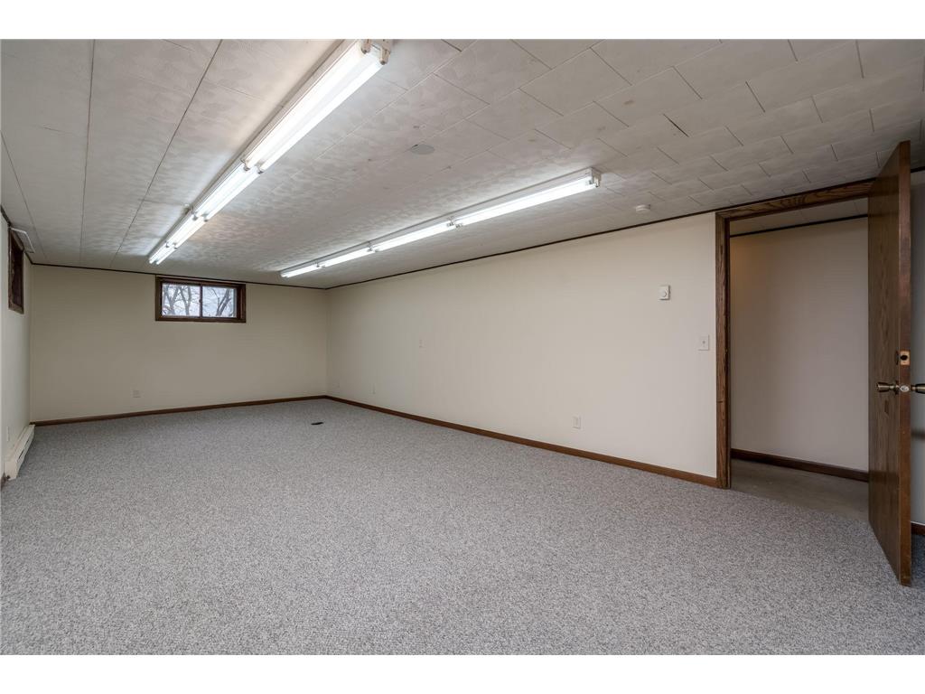 235 390th Avenue Janesville MN 56048 7057977 image22