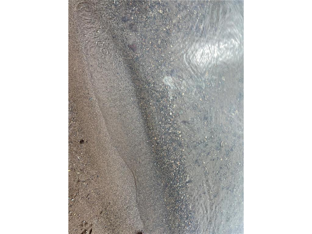 235 6 NE Outing MN 56662 - Roosevelt 6715570 image2