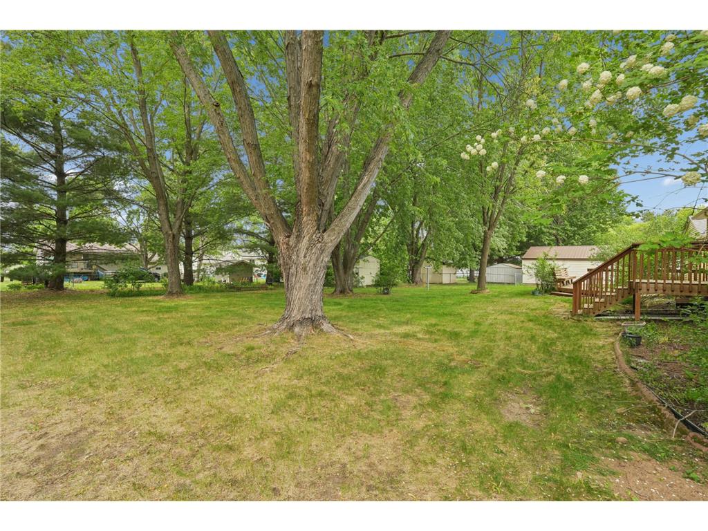 235 Horsmann Avenue Dresser WI 54009 7082997 image20