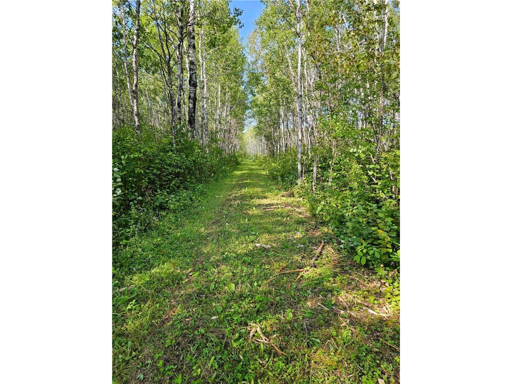 2351 35th Street SW Boone Twp MN 56623 6598225 image13