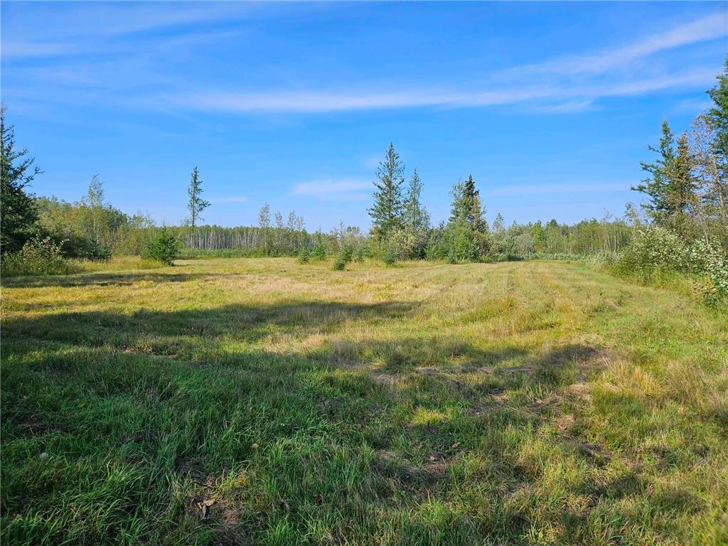 2351 35th Street SW Boone Twp MN 56623 6598225 image14