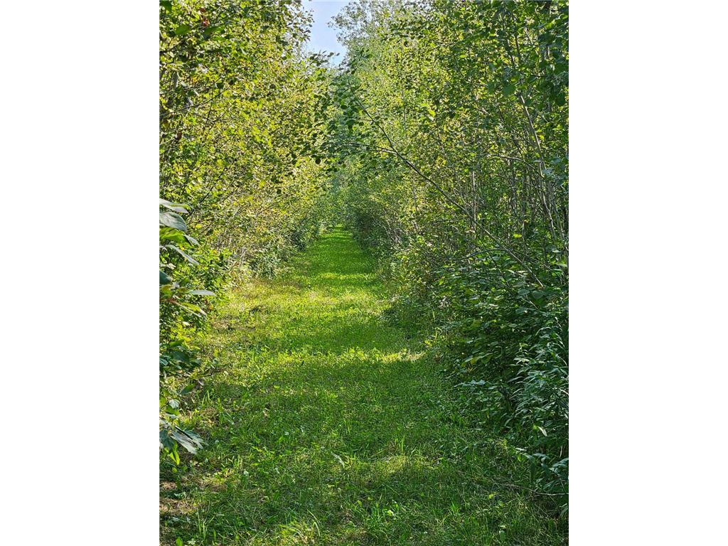 2351 35th Street SW Boone Twp MN 56623 6598225 image16