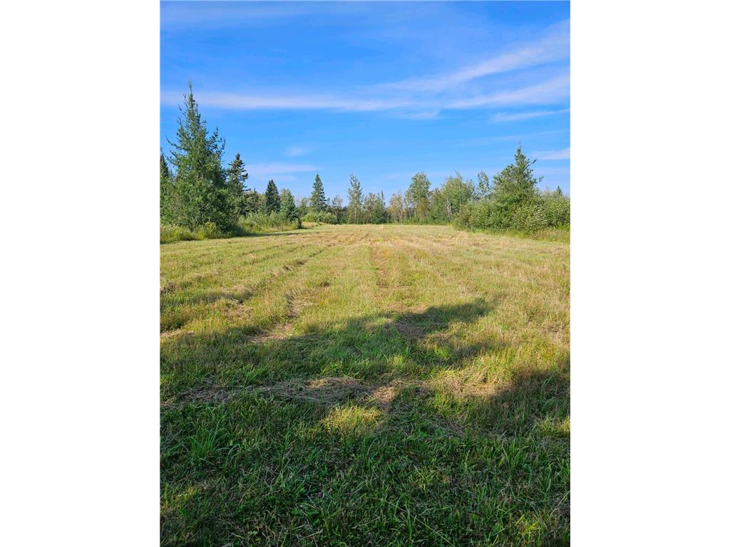 2351 35th Street SW Boone Twp MN 56623 6598225 image17