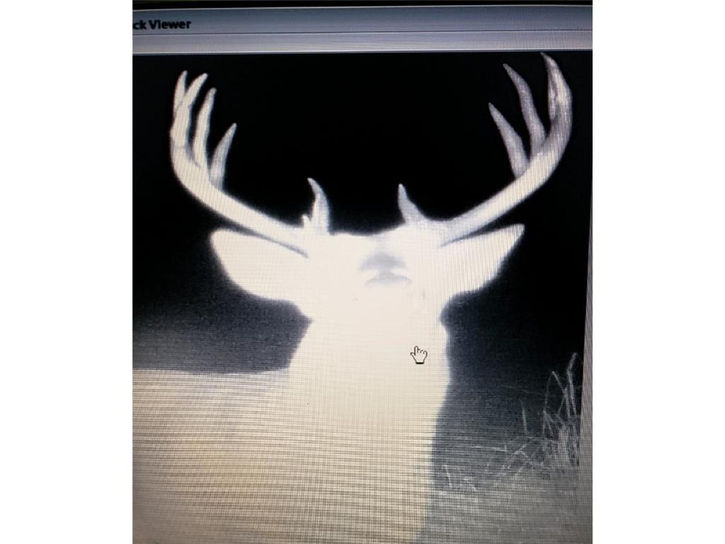 2351 35th Street SW Boone Twp MN 56623 6598225 image21