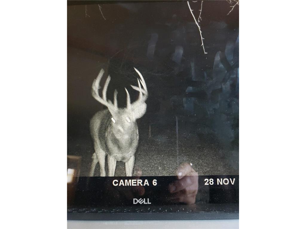 2351 35th Street SW Boone Twp MN 56623 6598225 image22