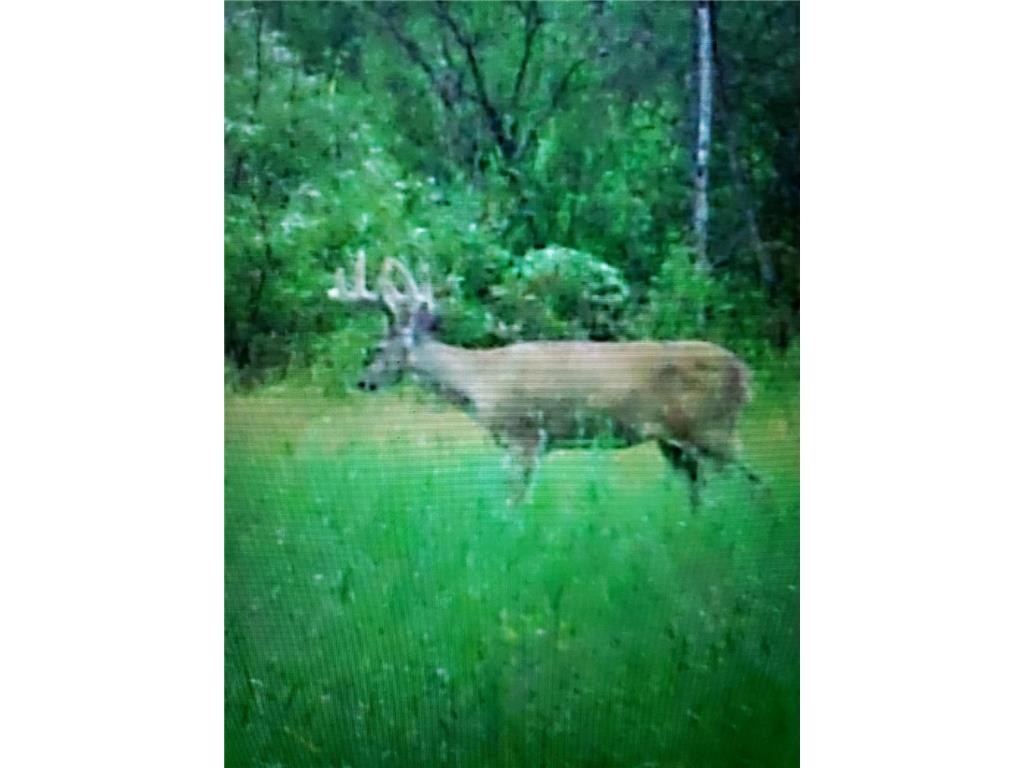 2351 35th Street SW Boone Twp MN 56623 6598225 image24