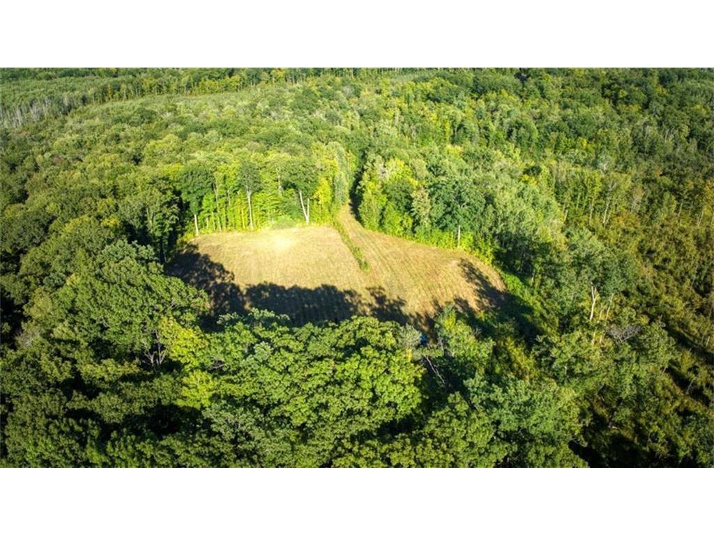 2351 Acres County Hwy C & Acres County Couderay Twp WI 54835 - Swift Creek 6786199 image28