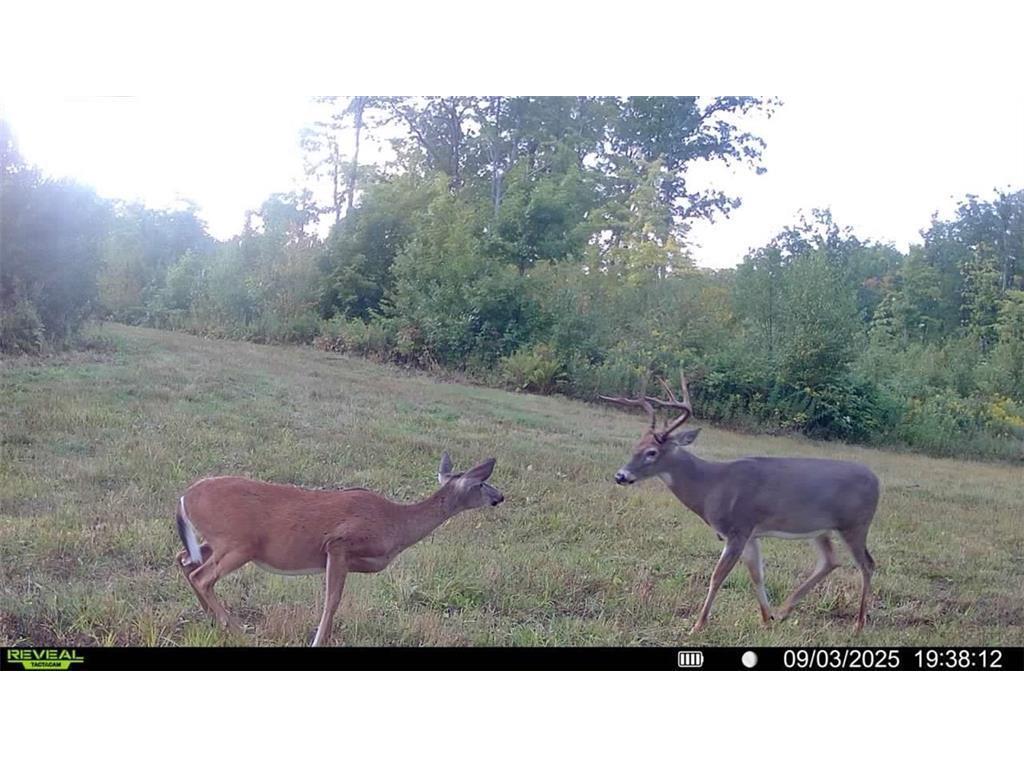 2351 Acres County Hwy C & Acres County Couderay Twp WI 54835 - Swift Creek 6786199 image33